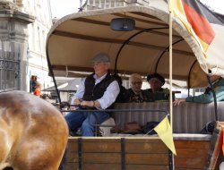 sf sonntag 2025100